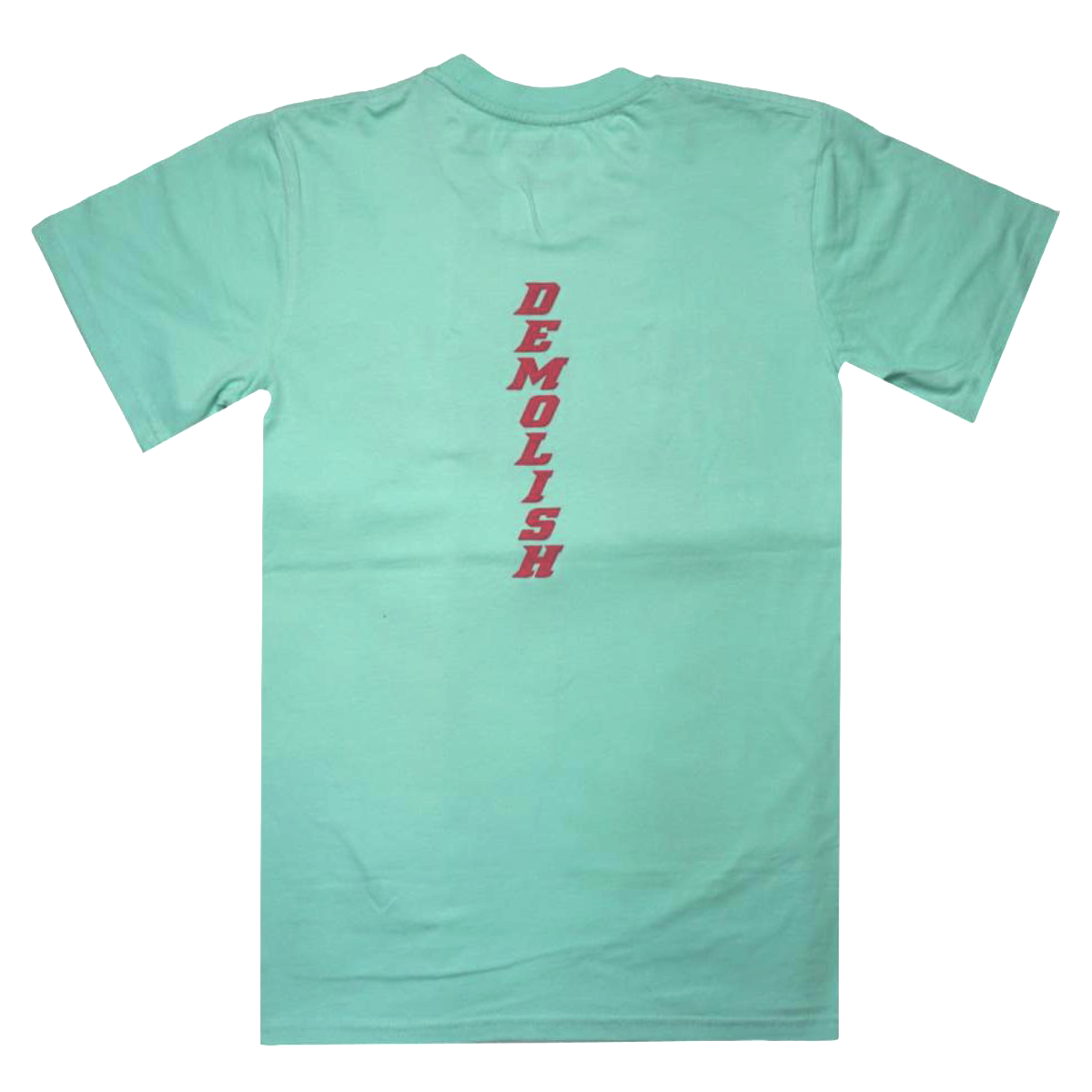 Bad Inside Tee (Aqua/Multi) /D5